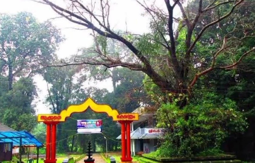 Kottiyoor Wildlife Sanctuary, Kannur, Kerala - Vushii.com Kottiyoor Wildlife Sanctuary, Kannur, Kerala - Vushii.com